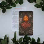 Prayer Cards