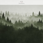 Misty Forest | Digital Download