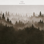 Misty Forest | Digital Download