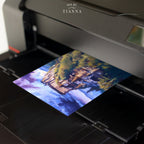 Orava | Digital Download